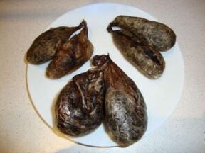 শক্তি বাড়ানোর জন্য বিভার স্ট্রিম